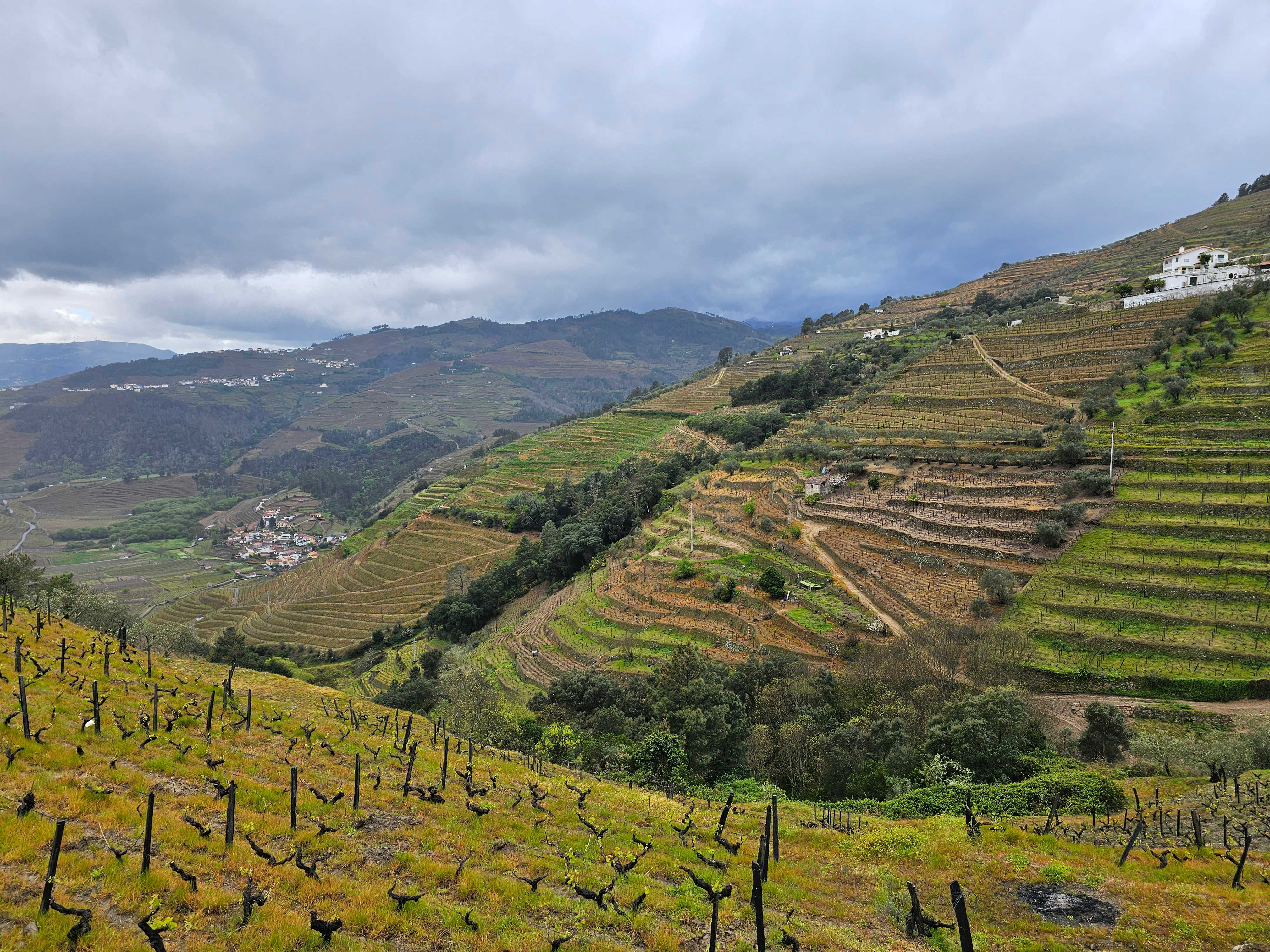 Douro